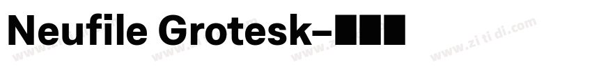 Neufile Grotesk字体转换